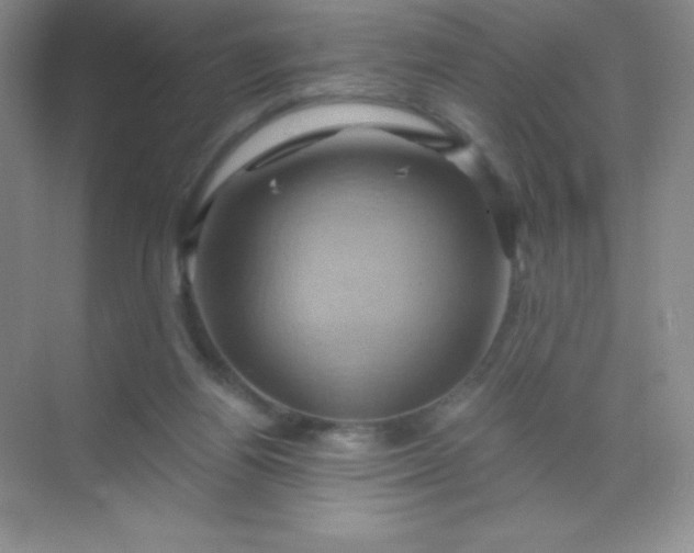 X0000068860164200605192026