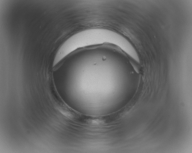 X0000068860165200605192026