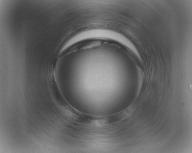 X0000068860168200605192026