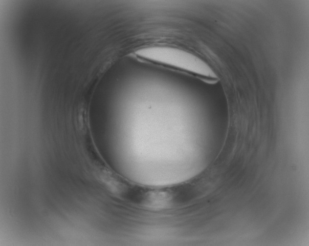 X0000068860169200605192026
