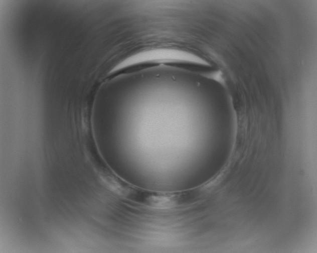 X0000068860170200605192026