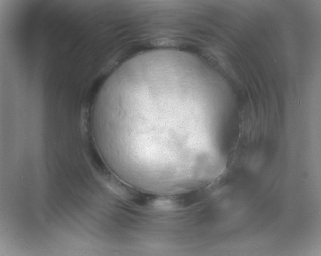 X0000068860171200605192026