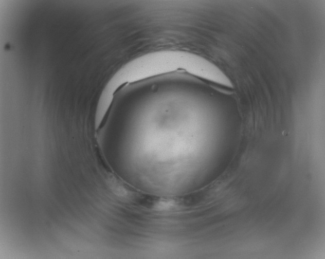 X0000068860177200605192027
