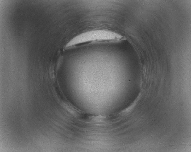 X0000068860182200605192027