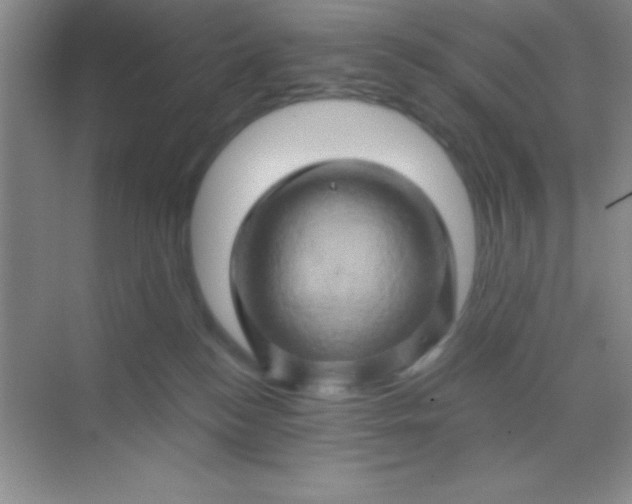 X0000068860184200605192027