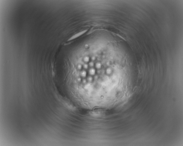 X0000068860187200605192027