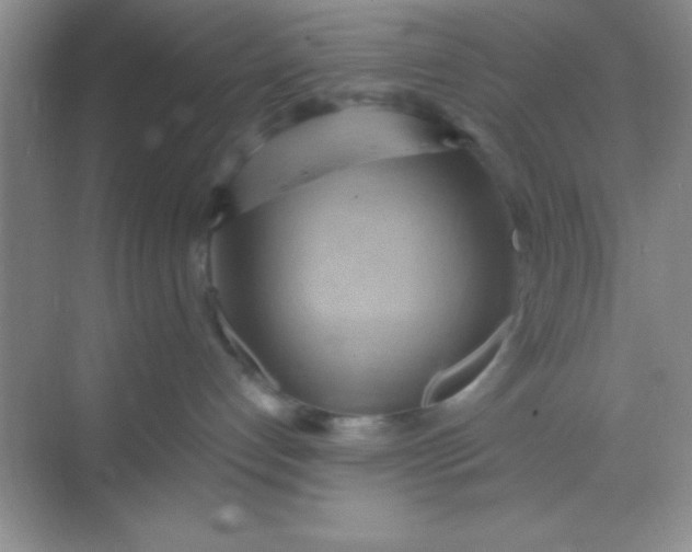 X0000068860192200605192027