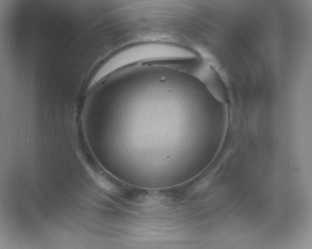 X0000068860201200605192026