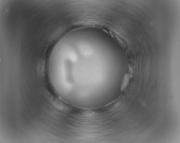 X0000068860206200605192026