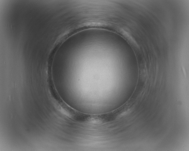 X0000068860207200605192026