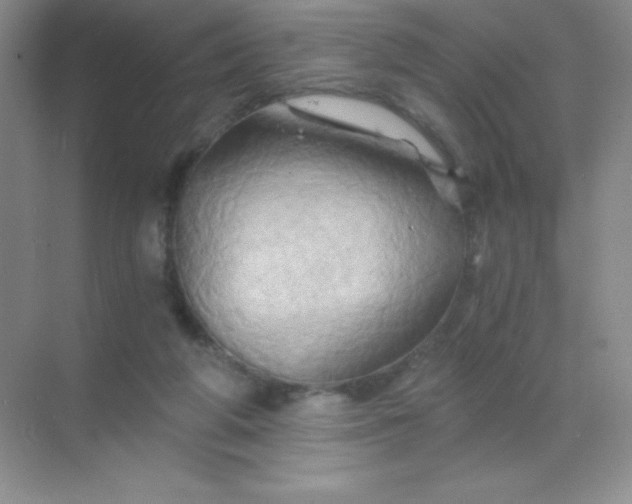 X0000068860210200605192026