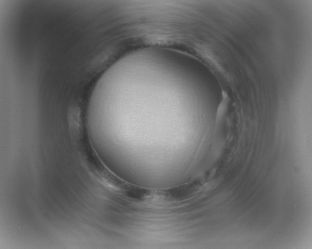 X0000068860211200605192026
