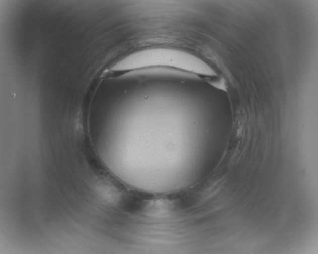 X0000068860212200605192026
