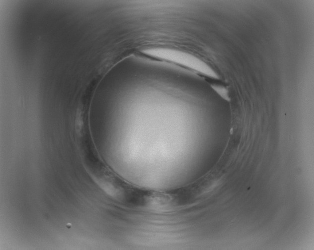 X0000068860215200605192026
