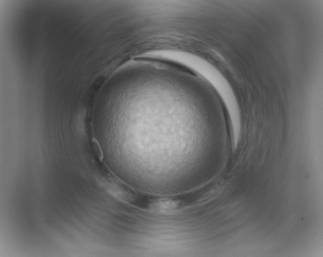 X0000068860217200605192026