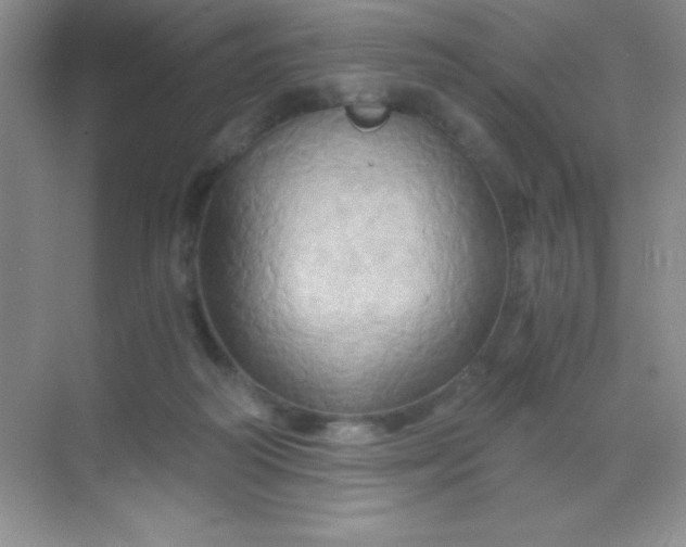 X0000068860218200605192026