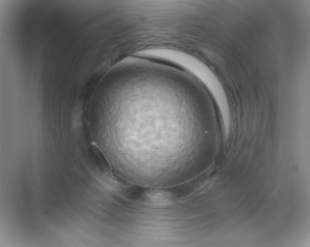 X0000068860221200605192025
