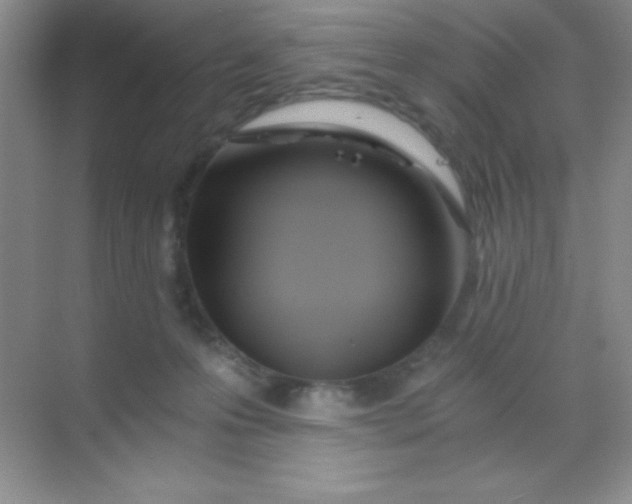 X0000068860223200605192025