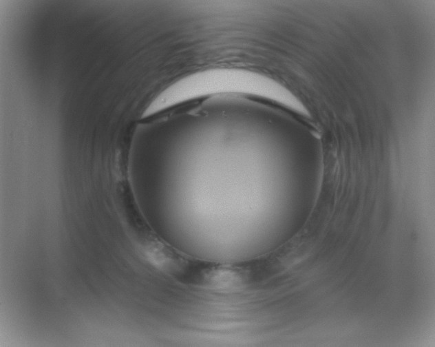 X0000068860224200605192025