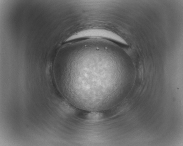 X0000068860225200605192025