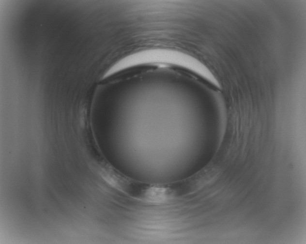 X0000068860227200605192025