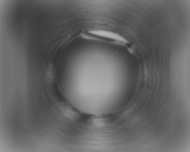 X0000068860228200605192025