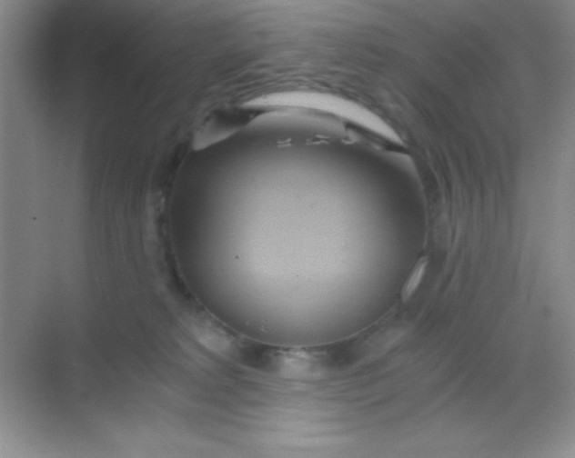 X0000068860229200605192025