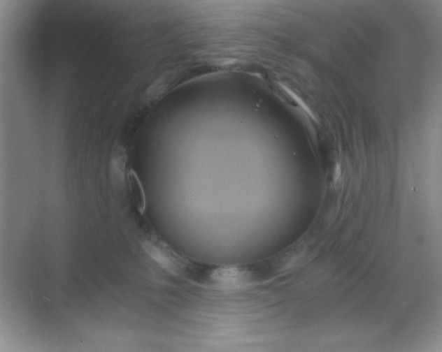 X0000068860231200605192025