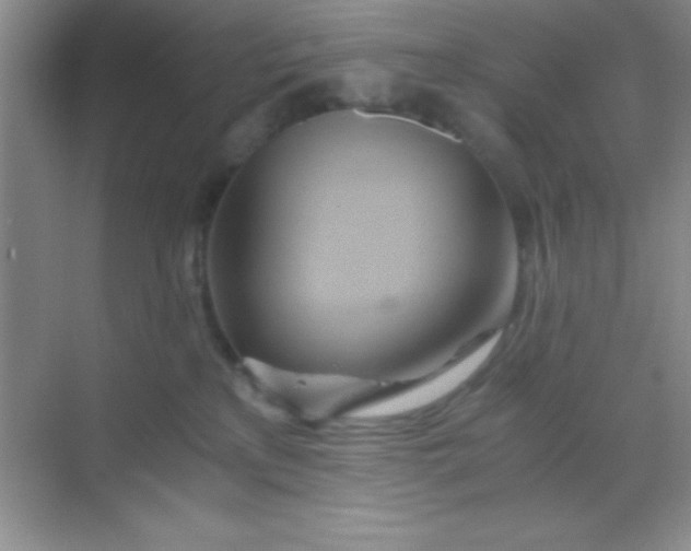 X0000068860233200605192025