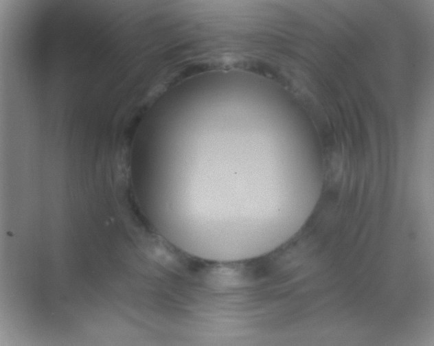 X0000068860236200605192025