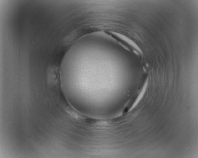 X0000068860237200605192025