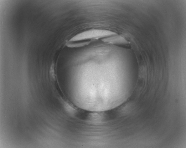 X0000068860238200605192025