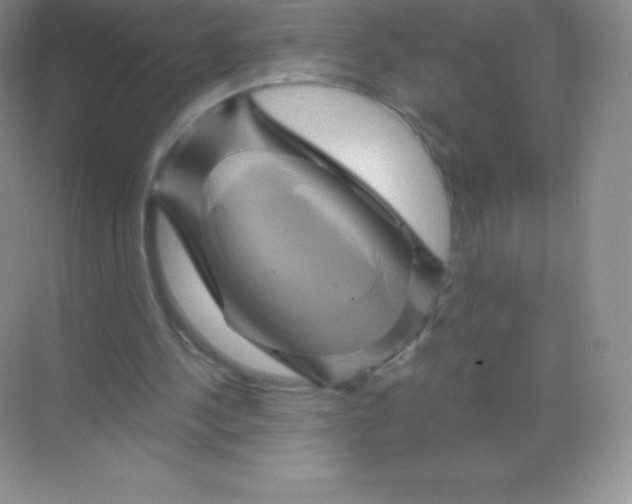 X0000068860244200605192024