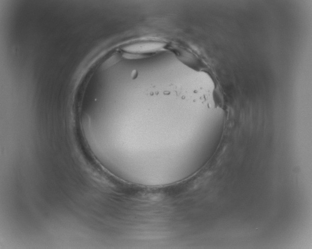 X0000068860247200605192024