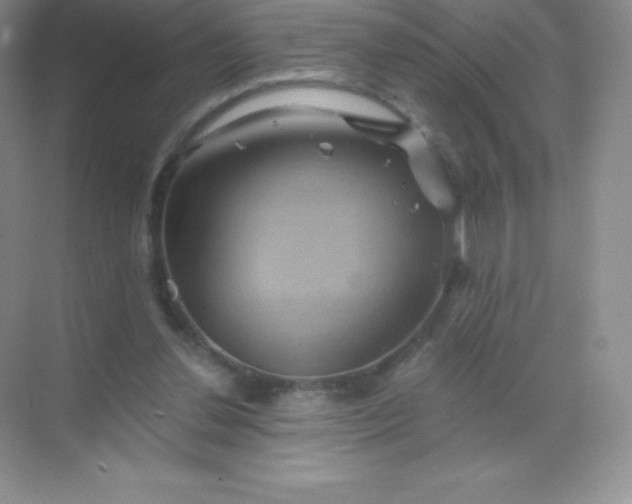 X0000068860252200605192025