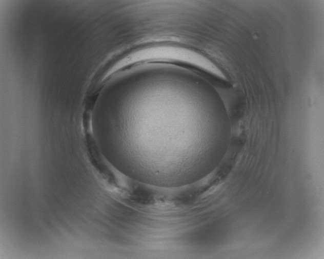 X0000068860256200605192025