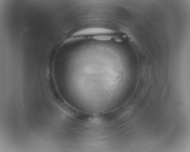 X0000068860259200605192025