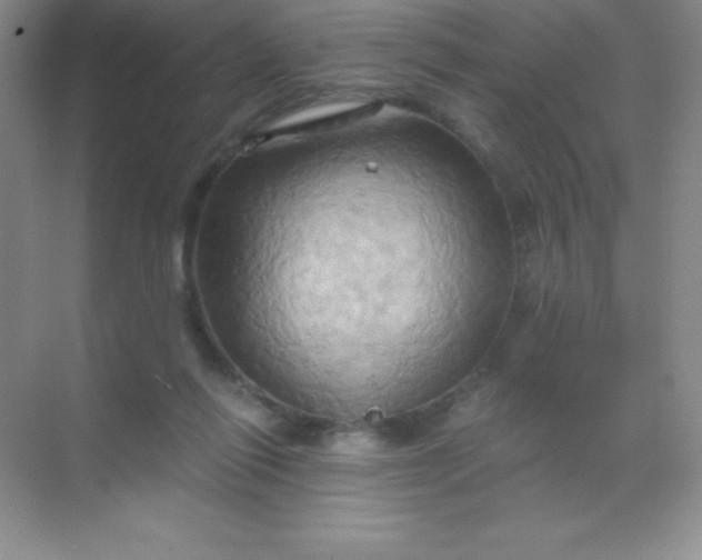 X0000068860262200605192025