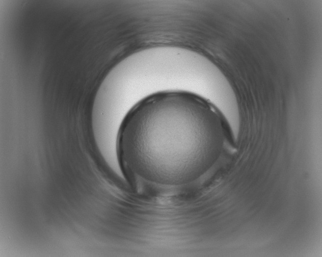 X0000068860264200605192025
