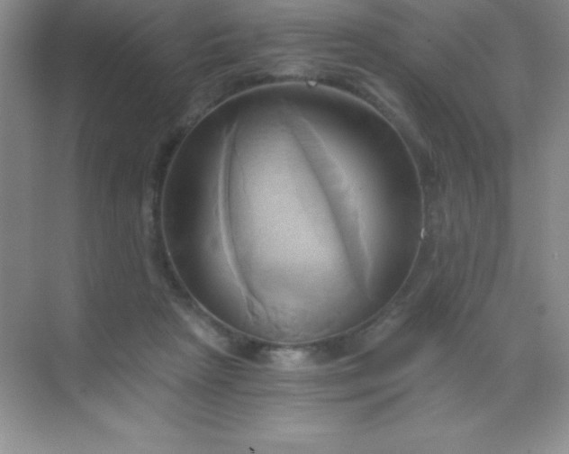 X0000068860265200605192025