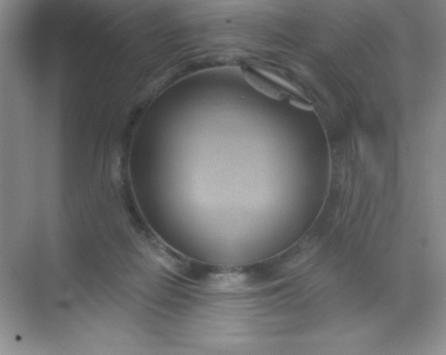 X0000068860266200605192025