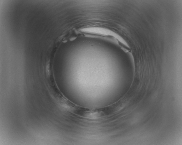 X0000068860267200605192025