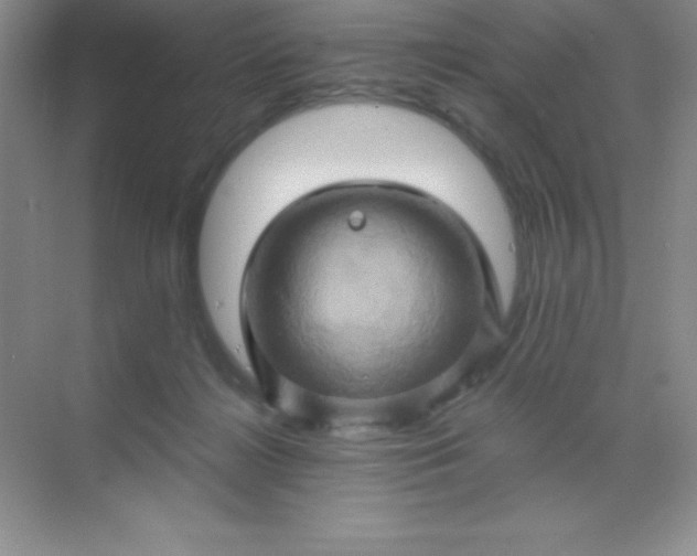 X0000068860268200605192025