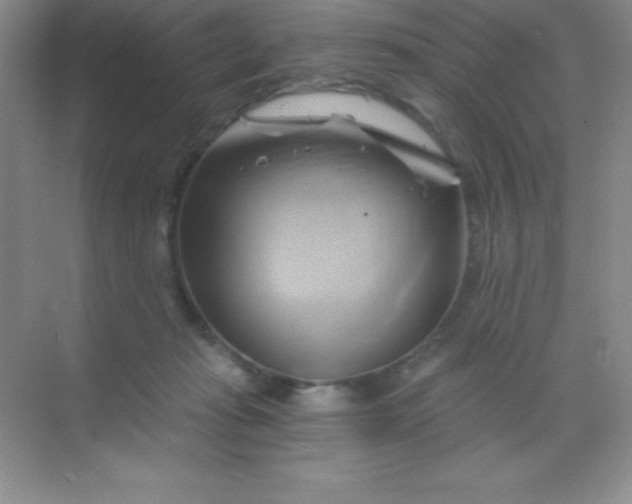 X0000068860269200605192025