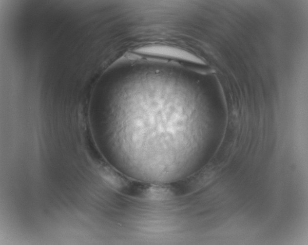 X0000068860270200605192025