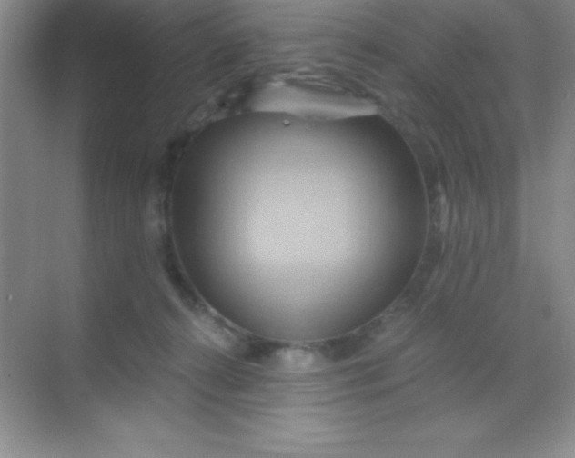 X0000068860272200605192025