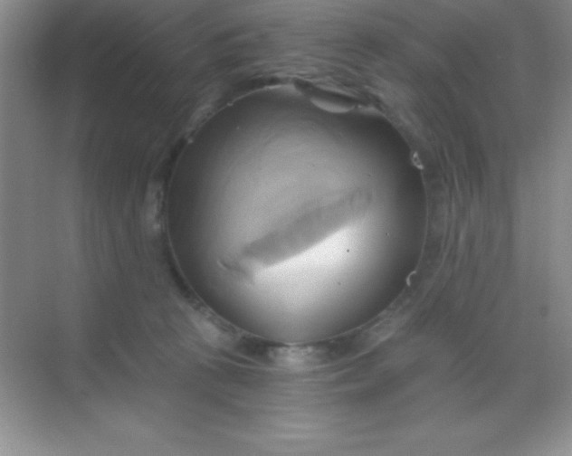 X0000068860273200605192025