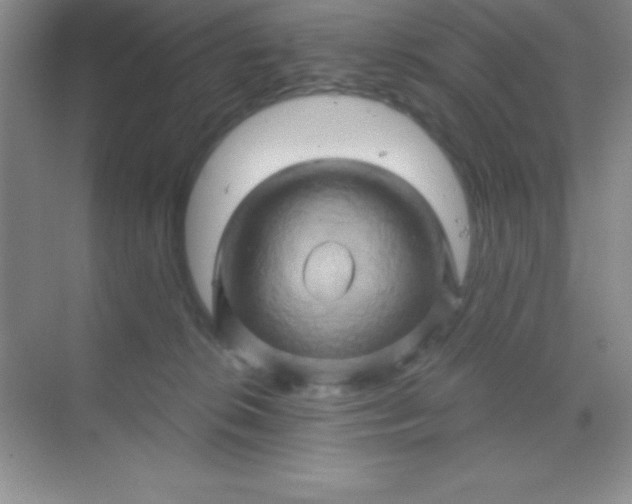 X0000068860276200605192025