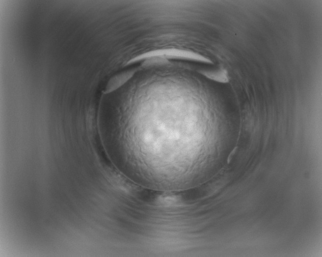X0000068860283200605192025