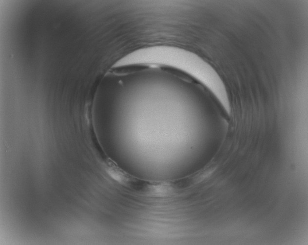 X0000068860286200605192025